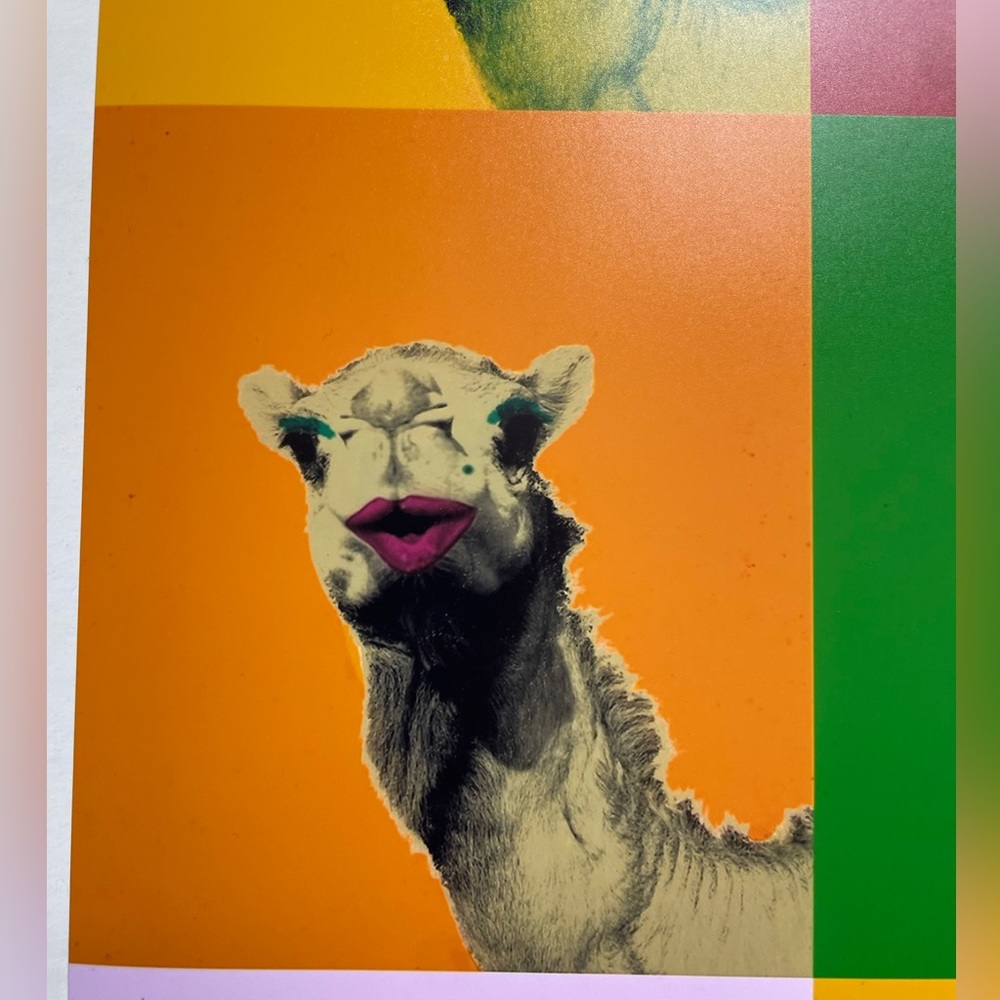 Colourful Camel 🐪 Print - Picture 3 of 9